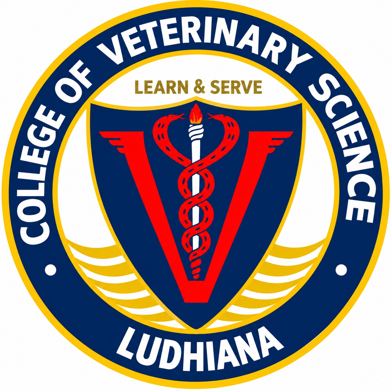 College Logo
