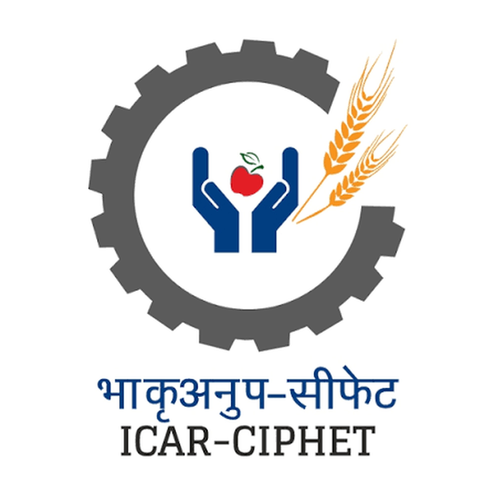 College Logo