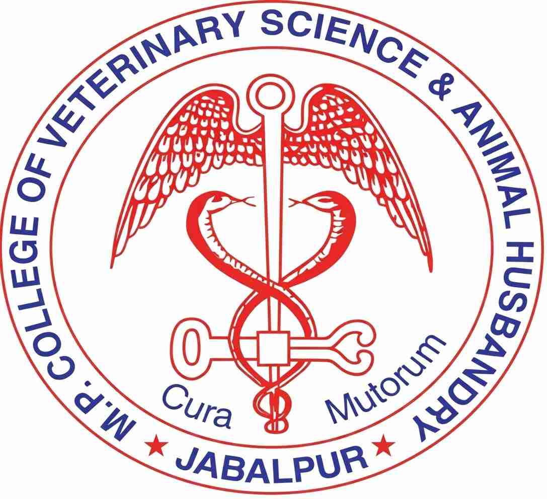 College Logo