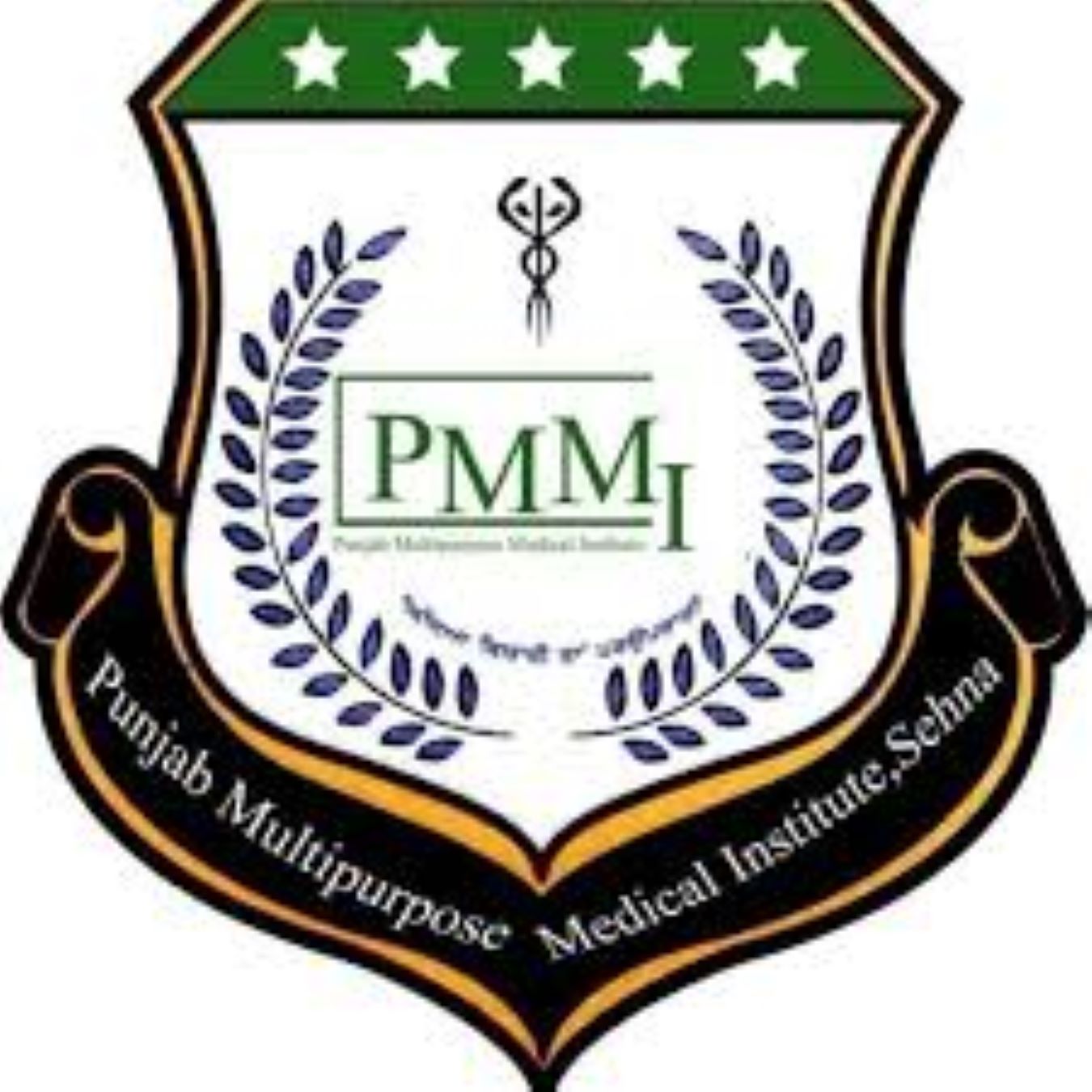 College Logo