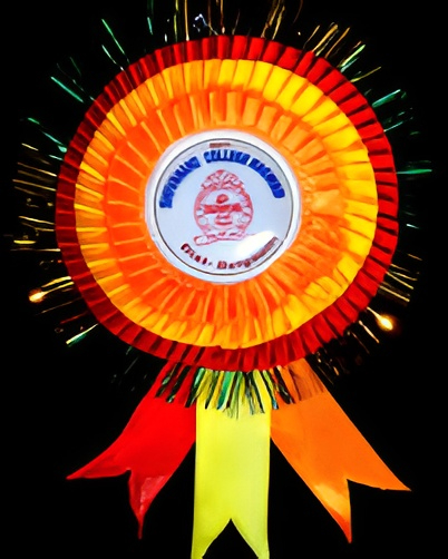 College Logo