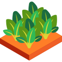 Herbal Garden