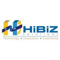 HiBiz