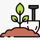 Tree Plantation Program